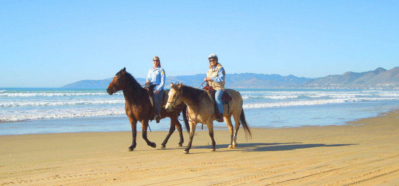 Melhores passeios a cavalo na praia perto de San Francisco and Carmel by the Sea